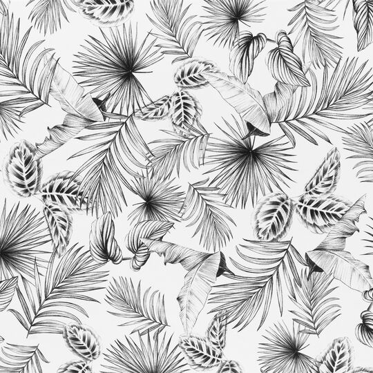 Fensterfolie static Botanicals image number null